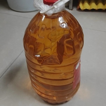 自家种的榨的山茶油