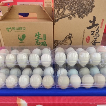 粮食喂养绿壳鸡蛋