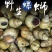 江苏田螺螺蛳清水螺干净清水精养规格齐全一手货源