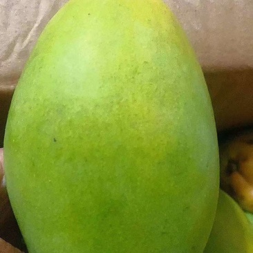 芒果大量现货，现在正是起量好时候，一件代发