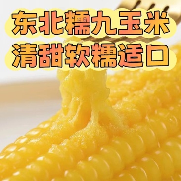 糯玉米一件代发