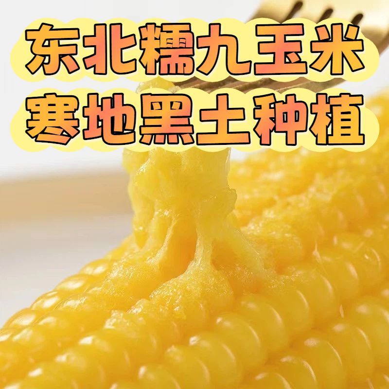 糯玉米一件代发