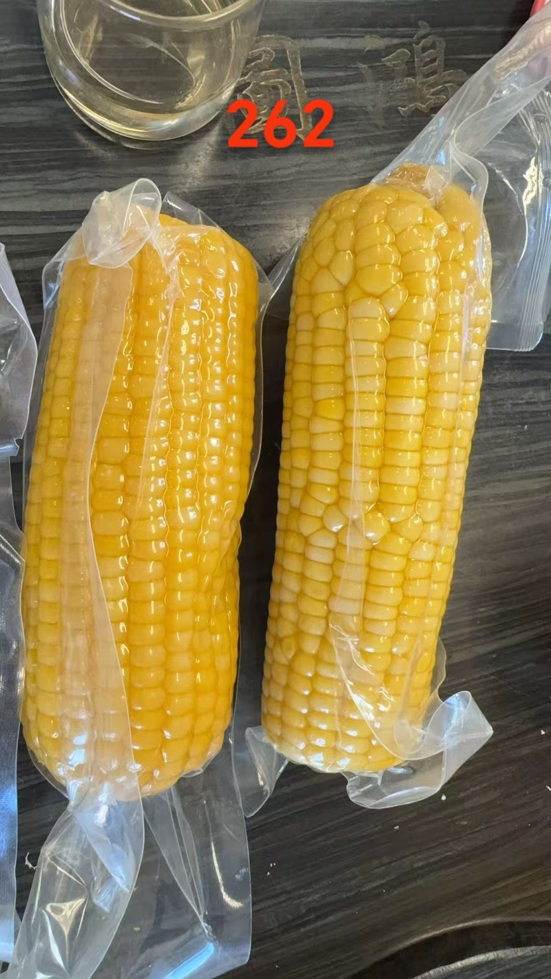 东北黄糯玉米大量现货，接代发