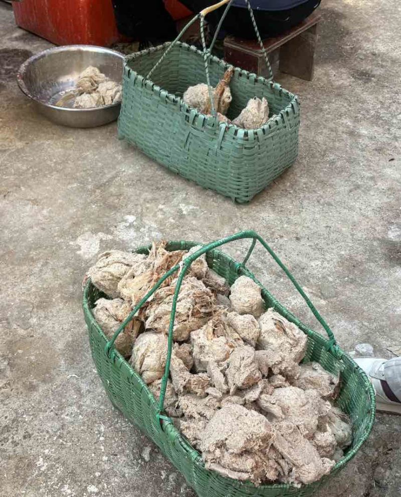 野生葛根粉