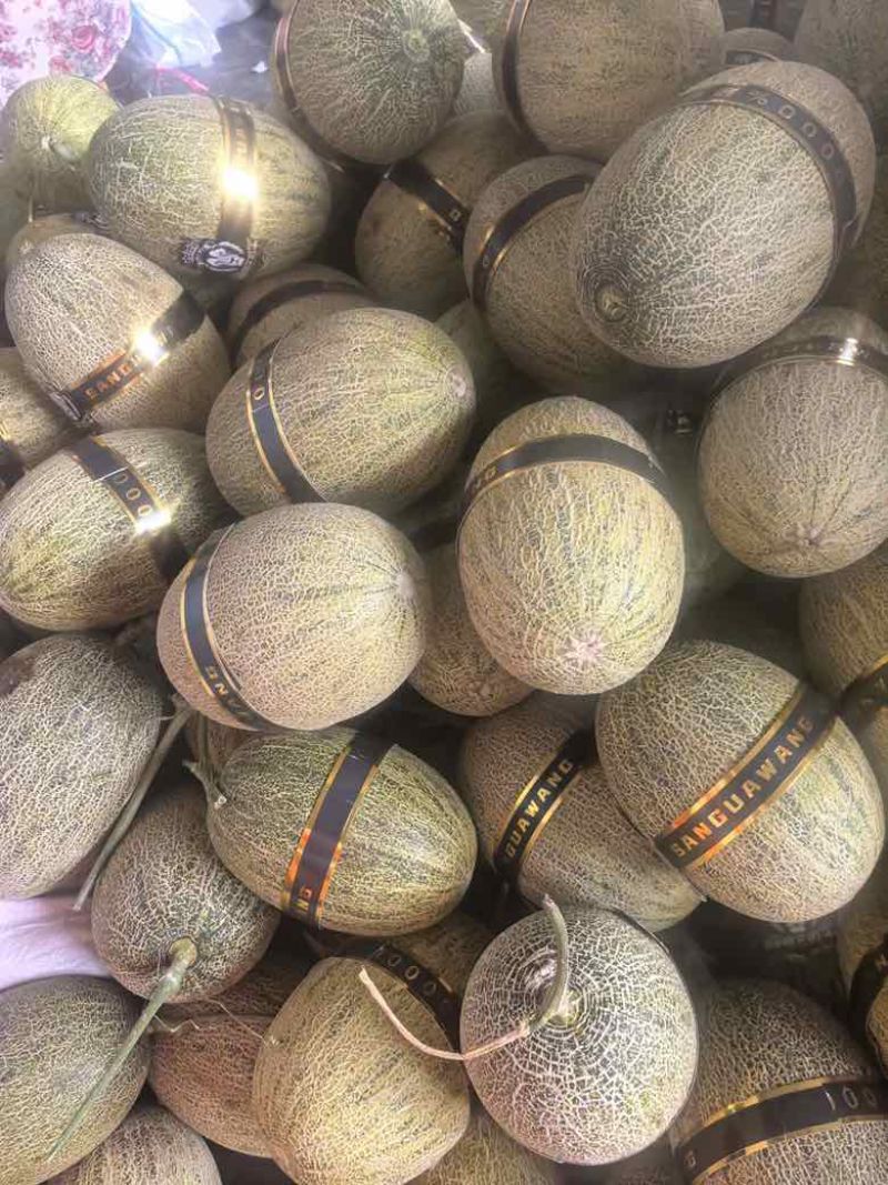 海南哈密瓜小蜜25电商，市场，商标，团购