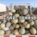 海南哈密瓜小蜜25电商，市场，商标，团购