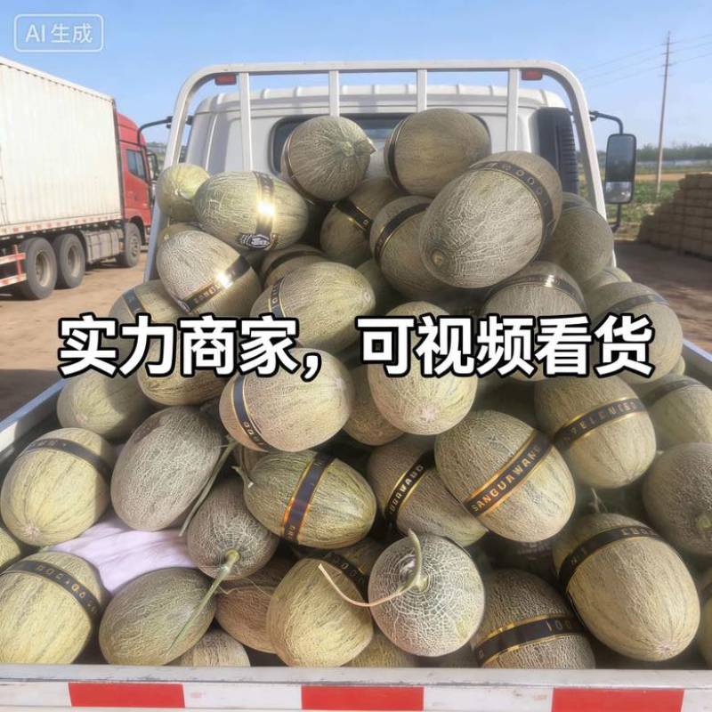 海南哈密瓜小蜜25电商，市场，商标，团购