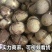 海南哈密瓜小蜜25电商，市场，商标，团购