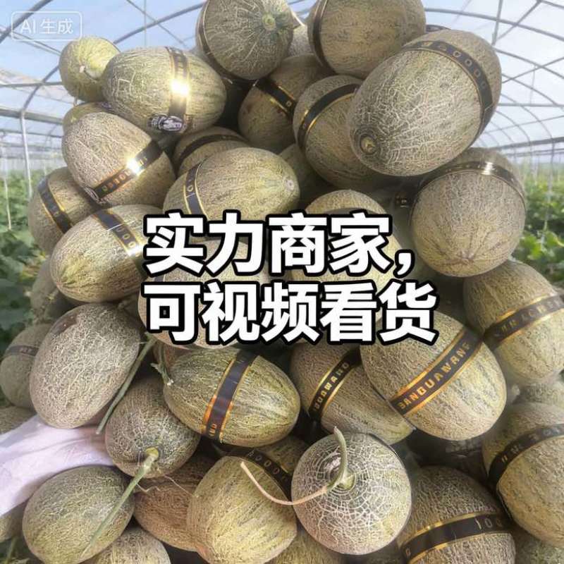 海南哈密瓜小蜜25电商，市场，商标，团购