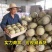 海南哈密瓜小蜜25电商，市场，商标，团购