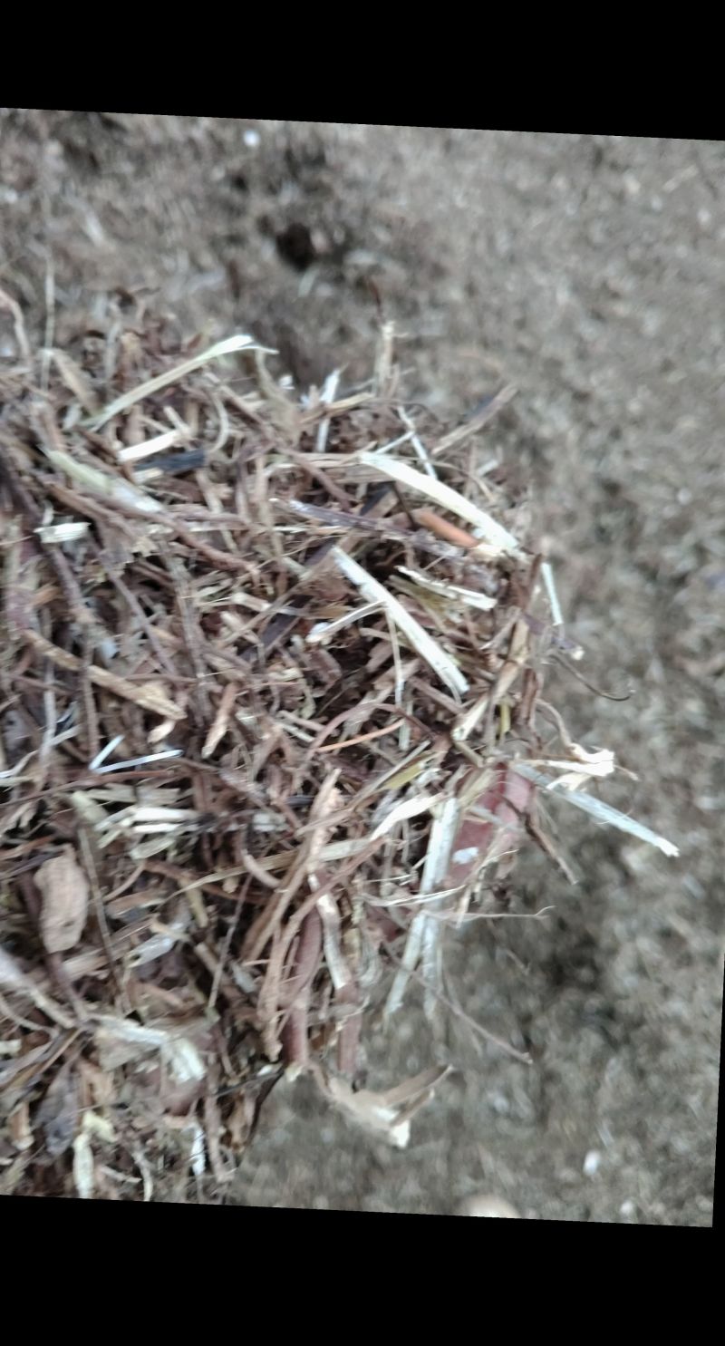 花生秧牛羊草料
