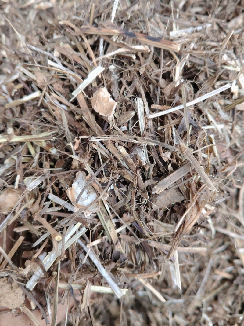 花生秧牛羊草料