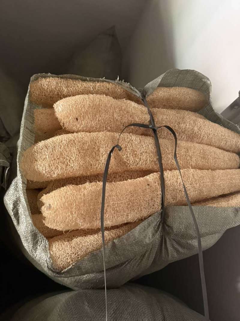 丝瓜络需要联系