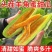 山东聊城莘县特产香瓜甜瓜羊角蜜