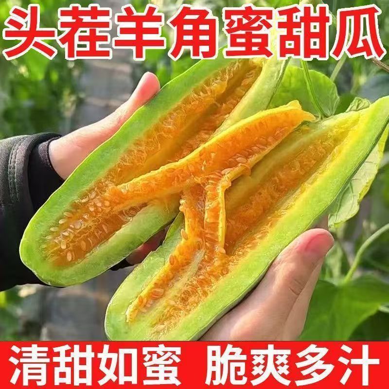 山东聊城莘县特产香瓜甜瓜羊角蜜