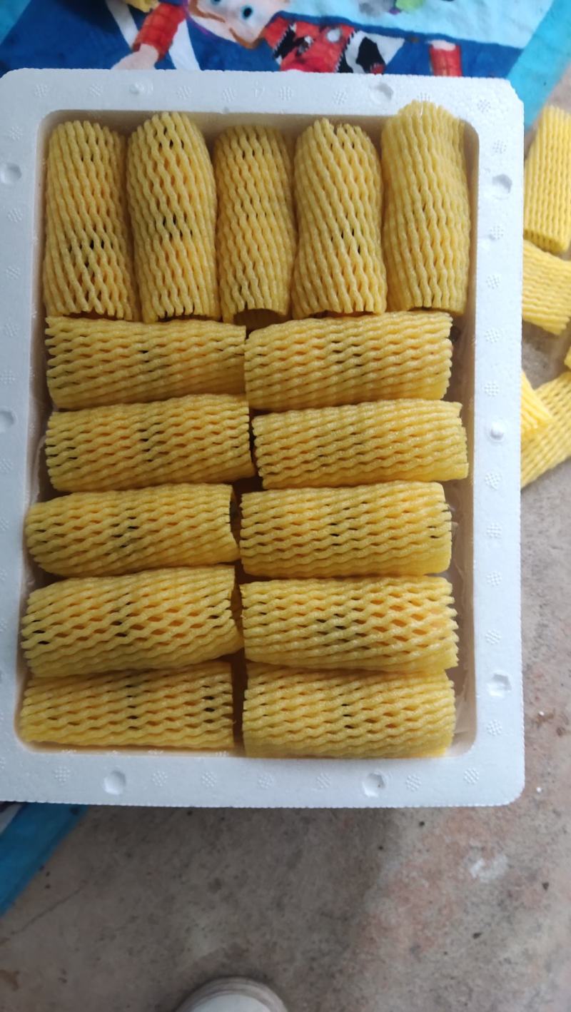 枇杷