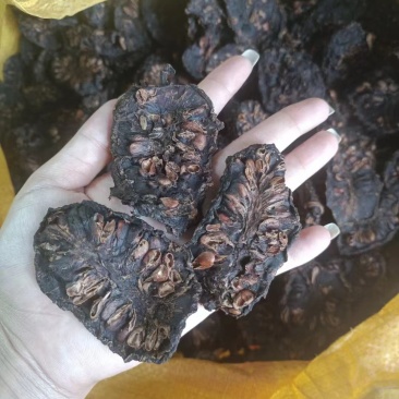 诺丽果果干