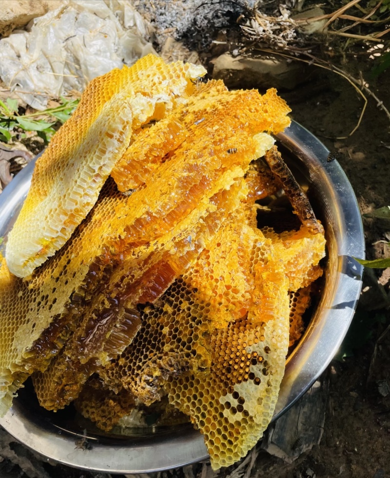 纯真野生蜂蜜
