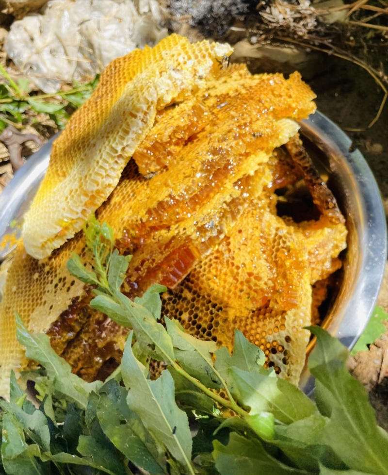 纯真野生蜂蜜