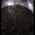 野生黄鳝