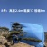1.5-3米迎客松树形优美庭院观赏基地直供苗木