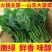 菠菜