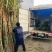 甘蔗大量批发需要赶紧联系全部是精品