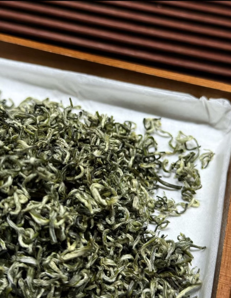 2026年都匀毛尖明前茶叶头茬