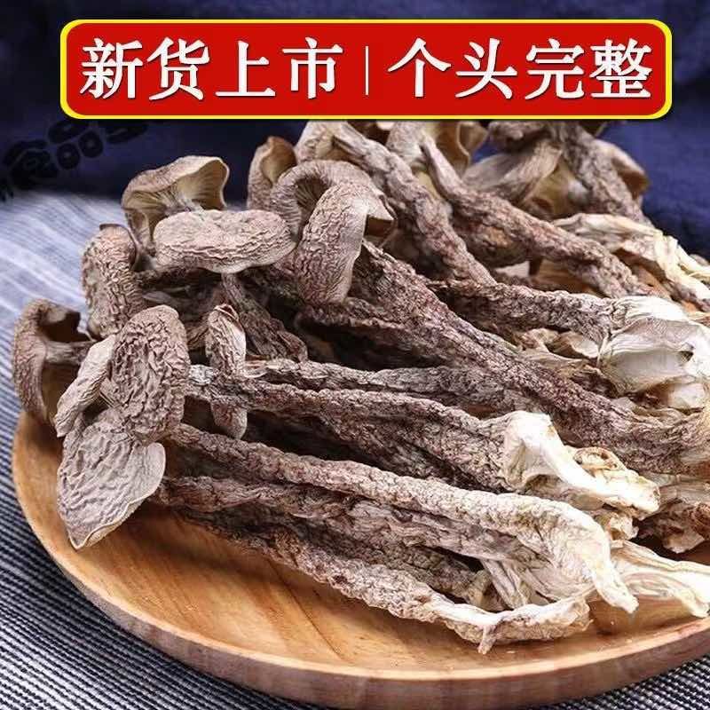 鹿耳菇