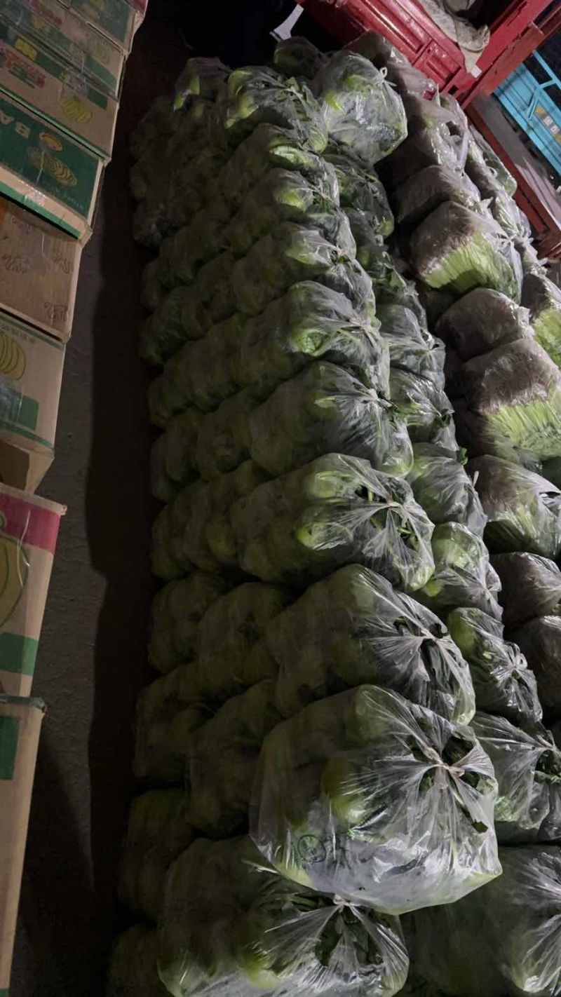 精品丕蓝，价格美丽