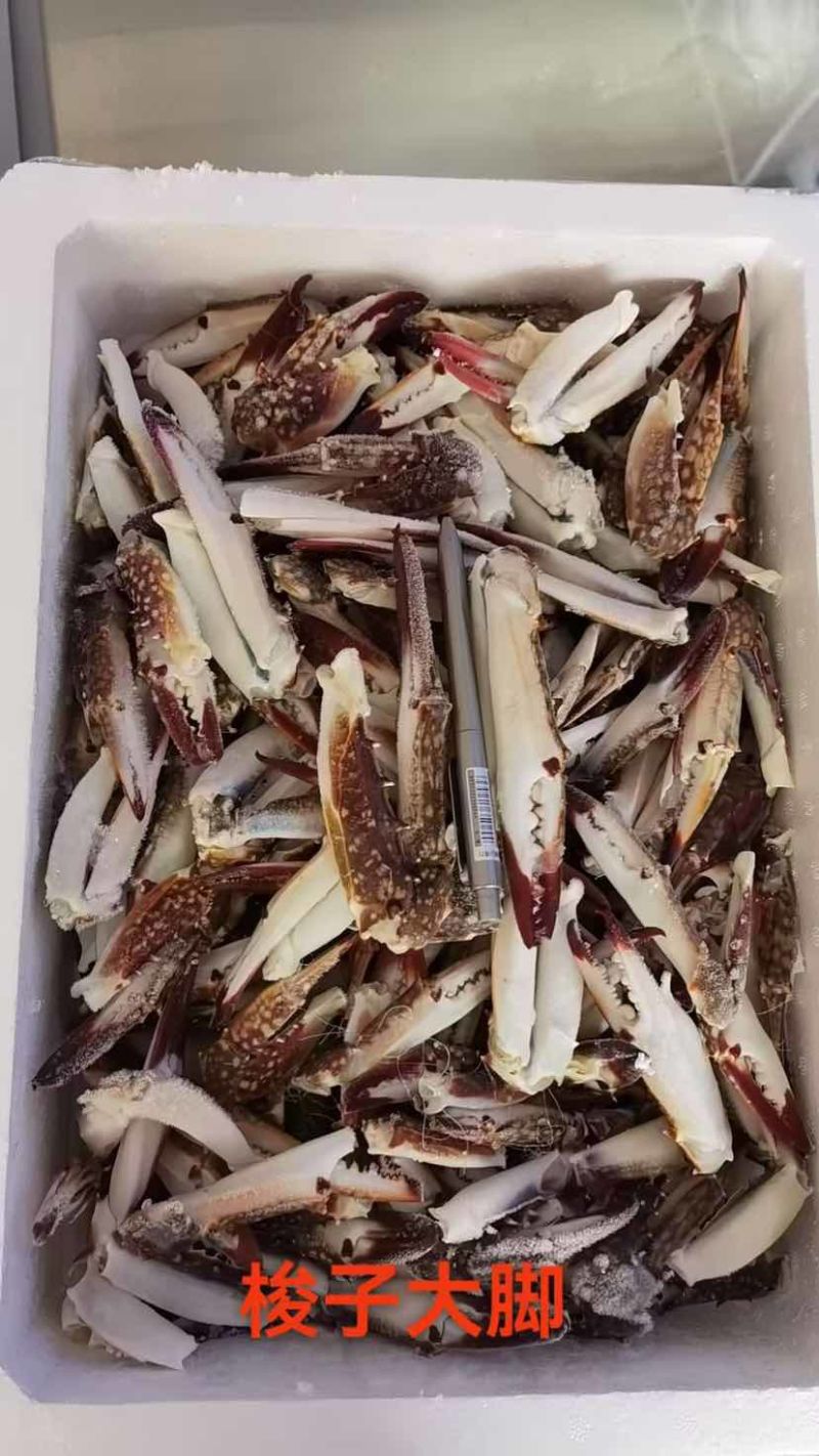 各种蟹钳