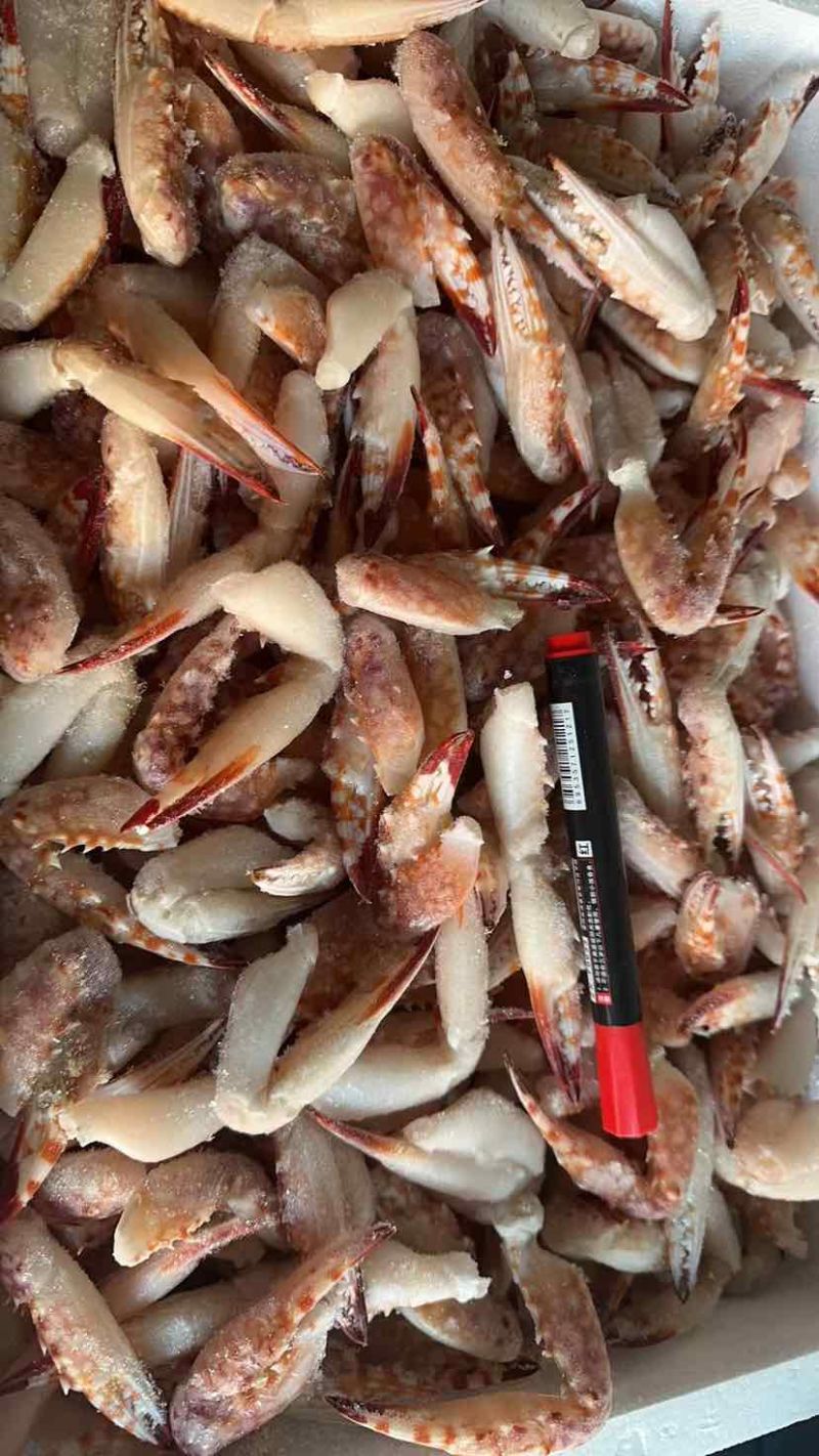 各种蟹钳