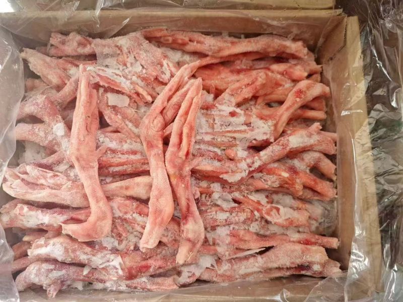 存货三节鹅掌14个左右1吨