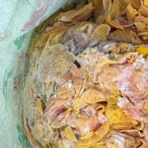 鸡内金