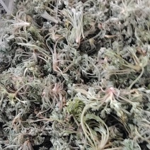 药材