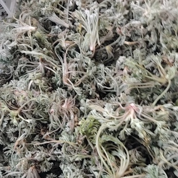药材