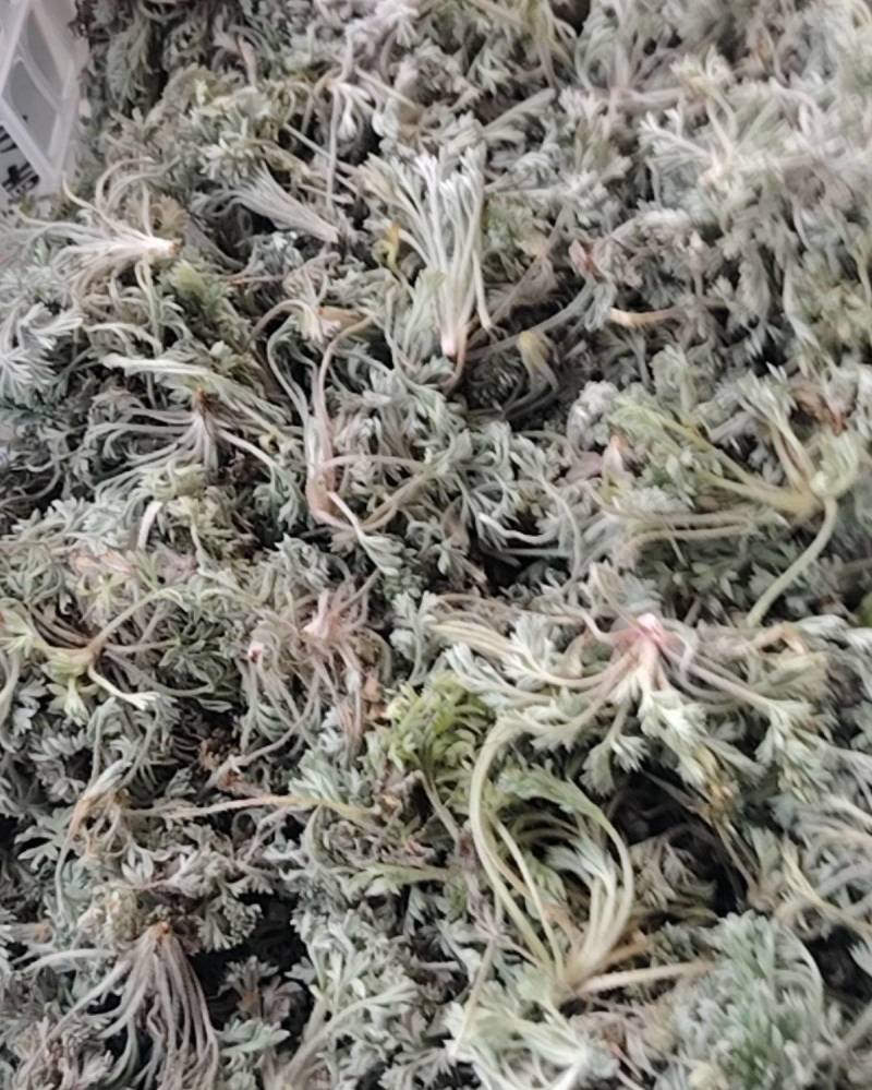 药材