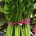 安徽阜阳芹菜