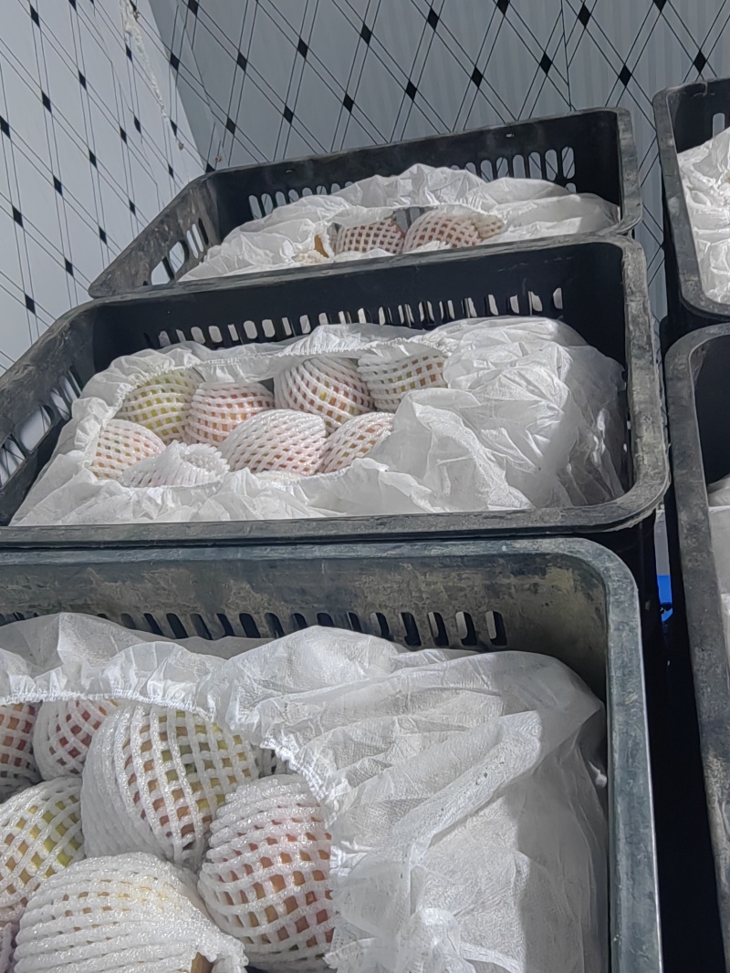 一级阿克苏糖心苹果