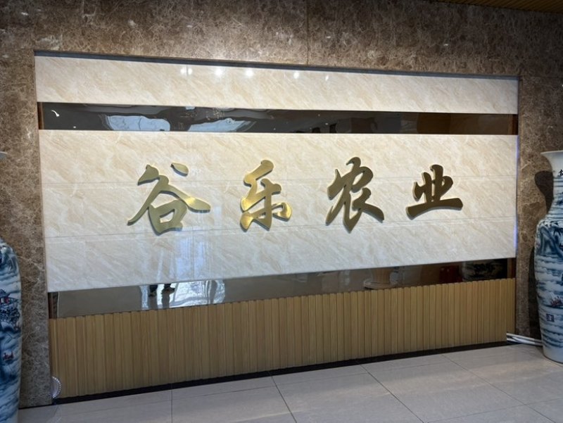 东北鲜食玉米