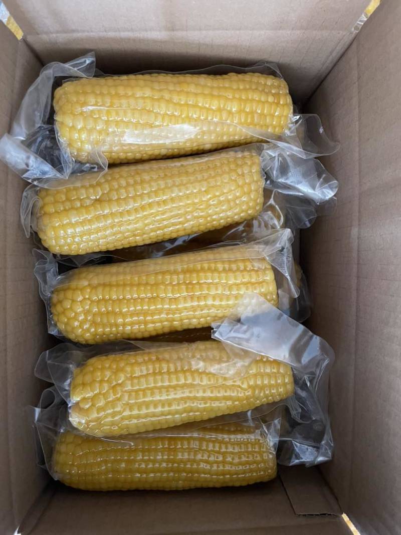 东北鲜食玉米