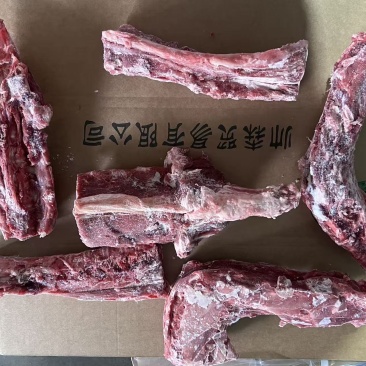 羔羊满肉羊蝎子
