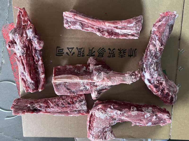 羔羊满肉羊蝎子