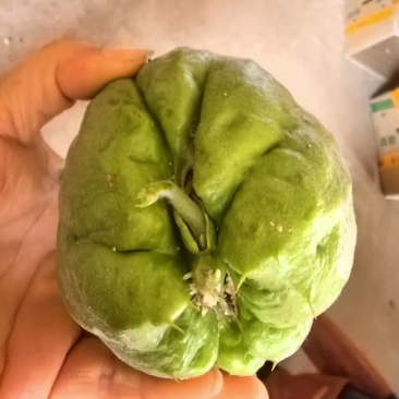 佛手瓜是家常菜的天花板。营养价值高。