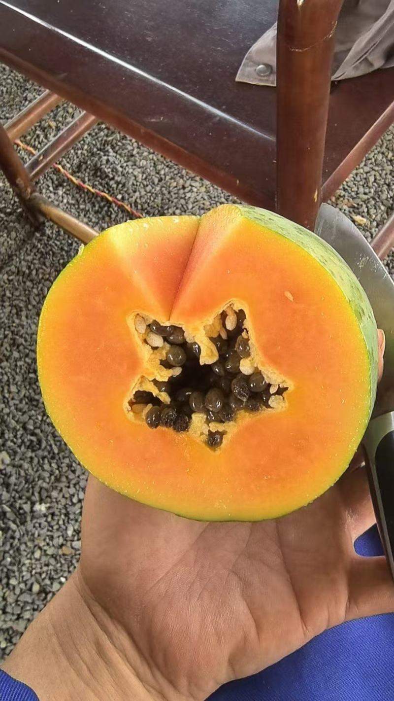水果木瓜