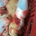 新鲜鲤鱼籽