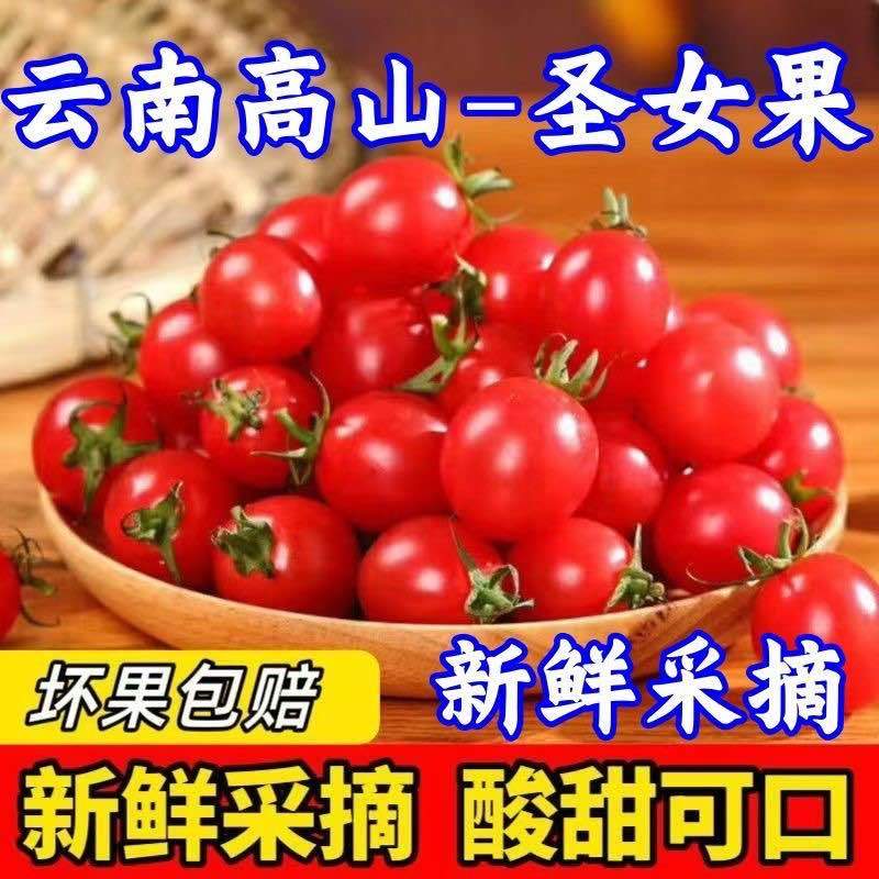 云南千禧小番茄圣女果电商一件代发