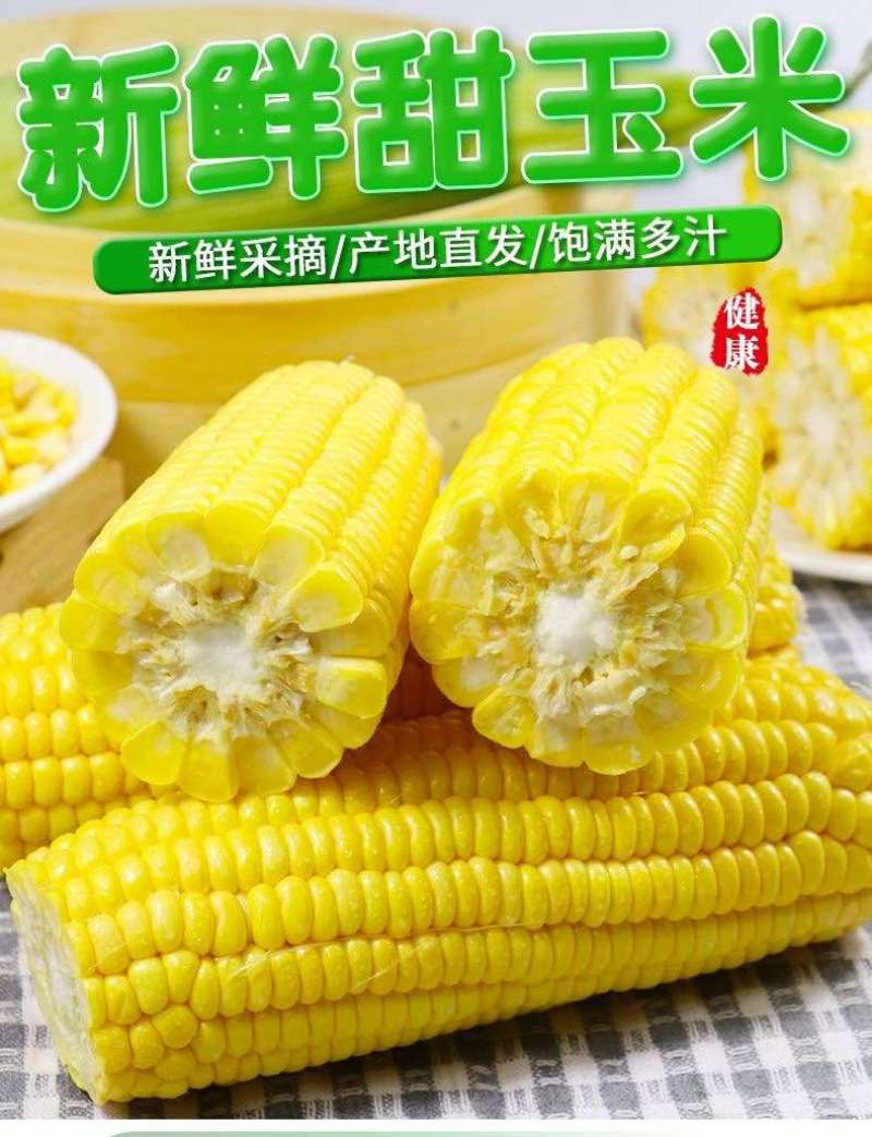 云南水果玉米甜玉米露天电商一件代发