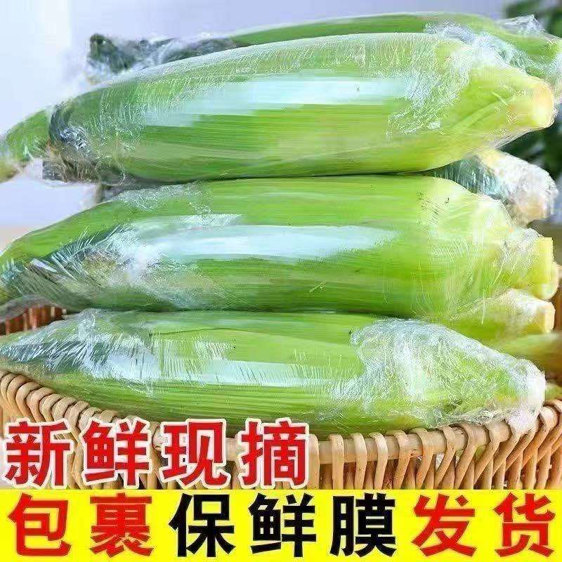 云南水果玉米甜玉米露天电商一件代发