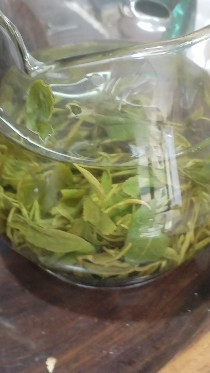 日照绿茶
